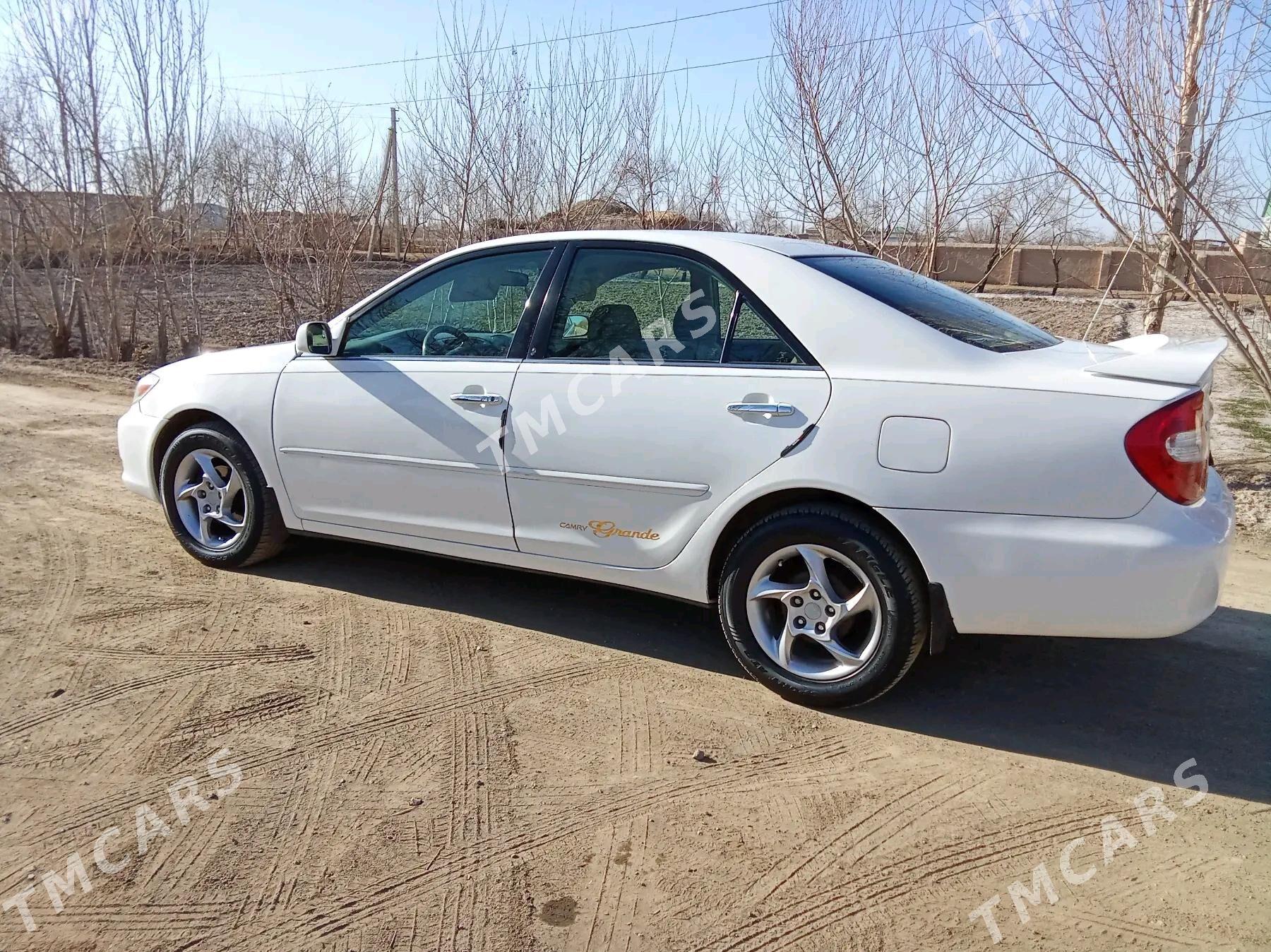 Toyota Camry 2003 - 150 000 TMT - Губадаг - img 4
