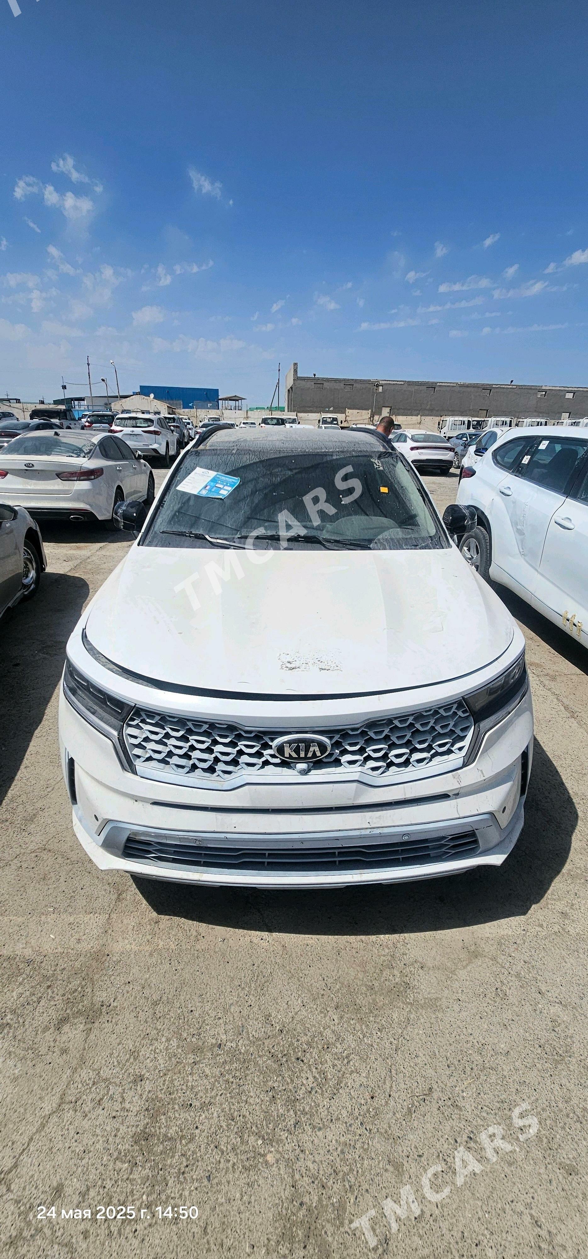 Kia Sorento 2021 - 295 500 TMT - Mary - img 2