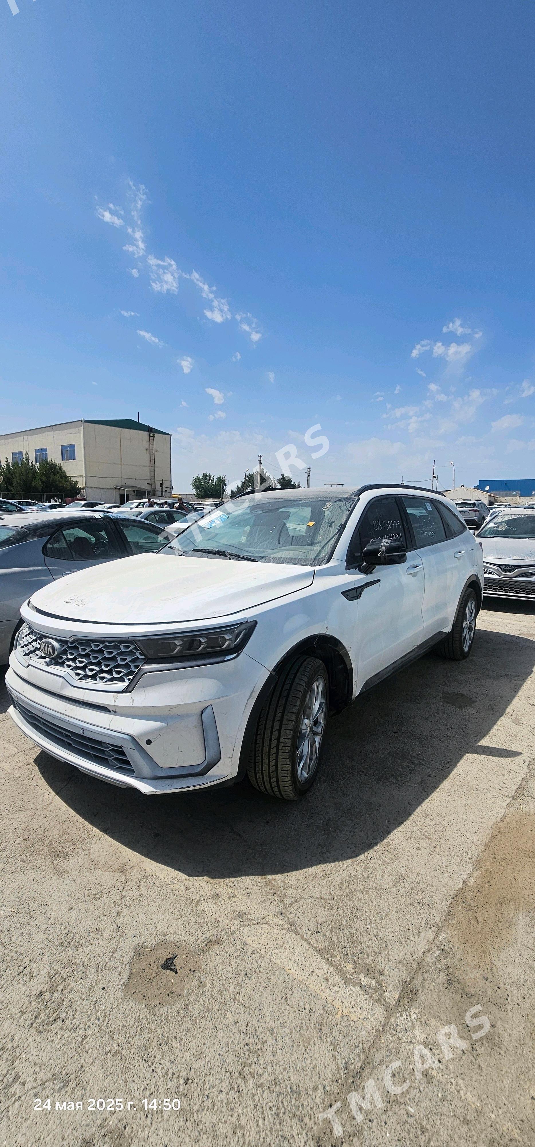 Kia Sorento 2021 - 295 500 TMT - Mary - img 3