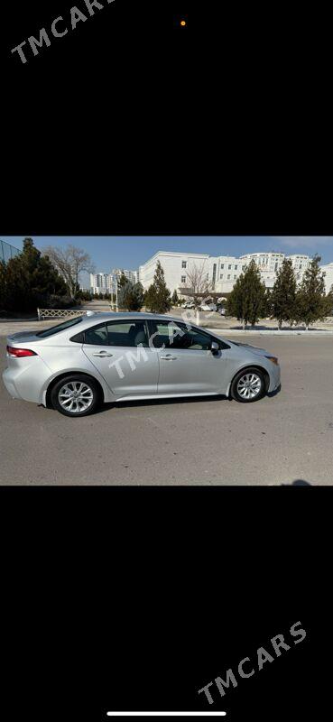 Toyota Corolla 2020 - 255 000 TMT - Aşgabat - img 2