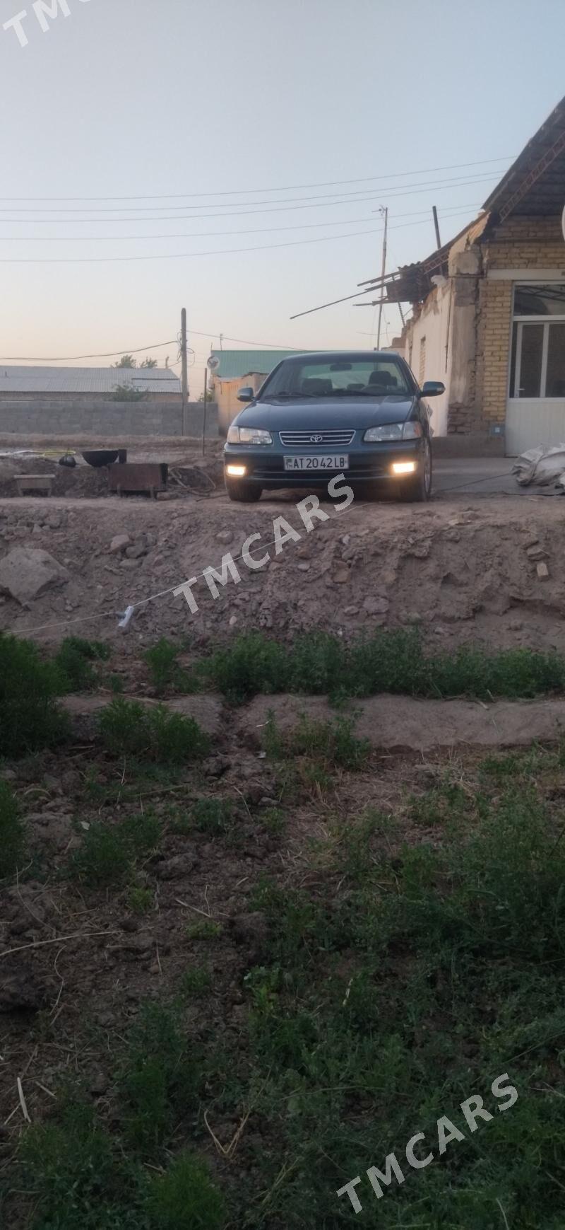 Toyota Camry 2001 - 141 000 TMT - Türkmenabat - img 4
