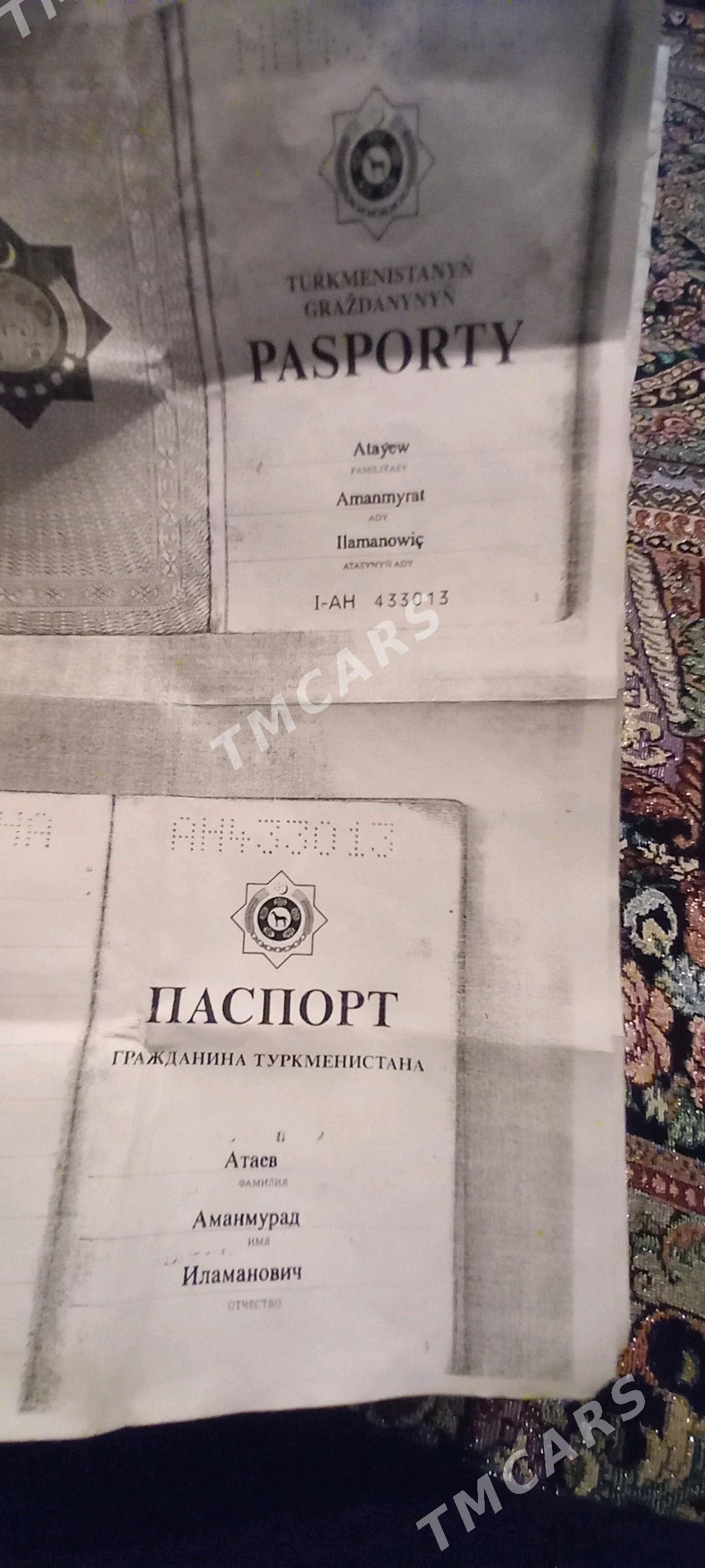 yiten tek pasport - Hitrowka - img 2