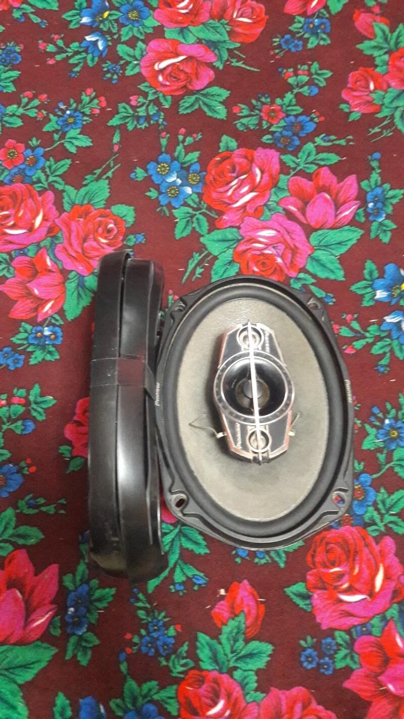 Pioneer kolonka 220 TMT - Mary - img 1