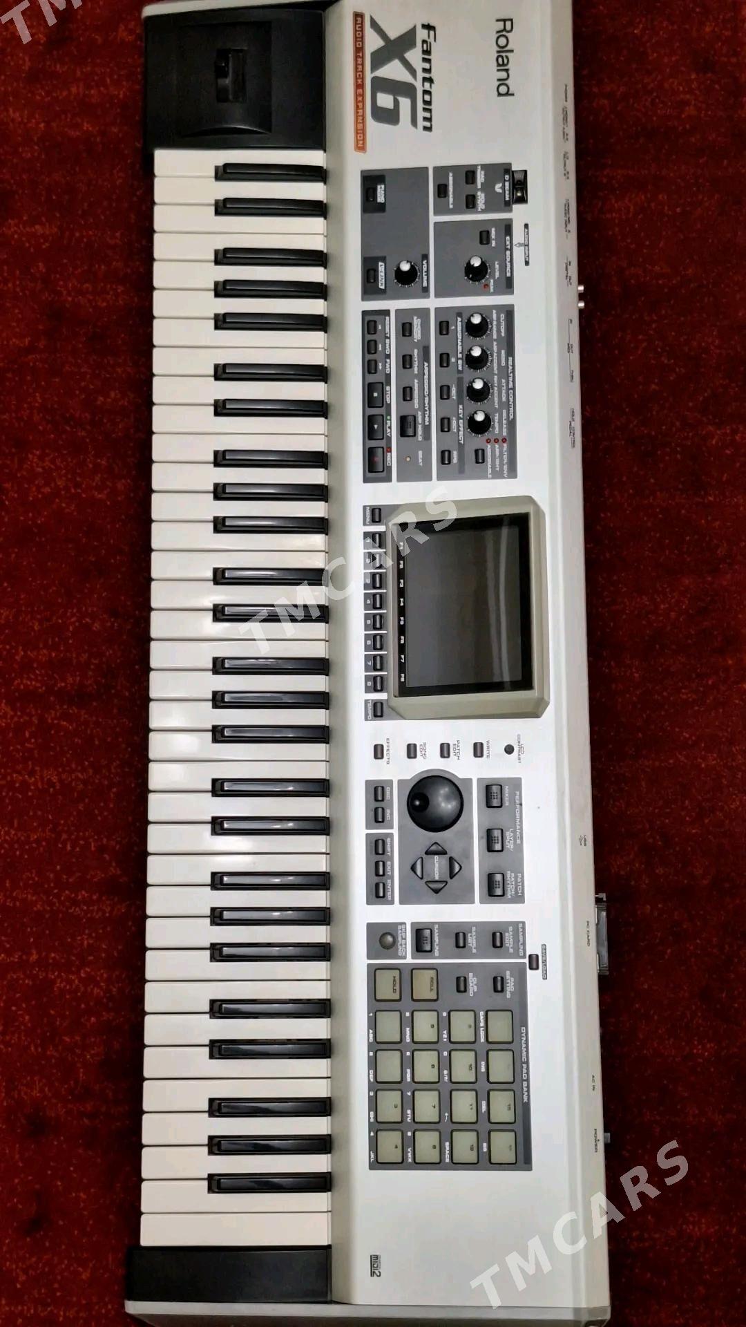 Roland FantonX6 - Gubadag - img 2