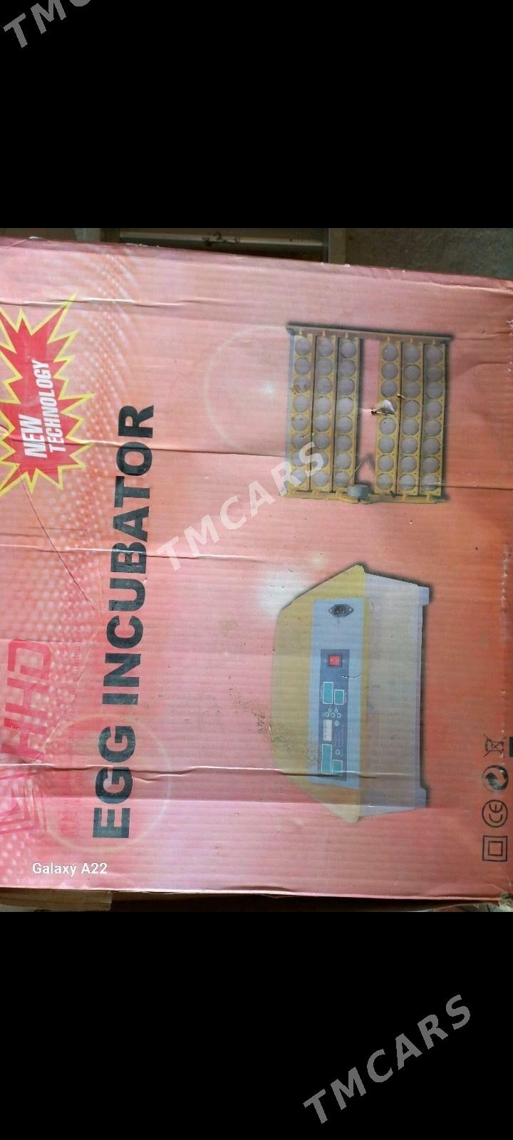 inkubator - Balkanabat - img 3