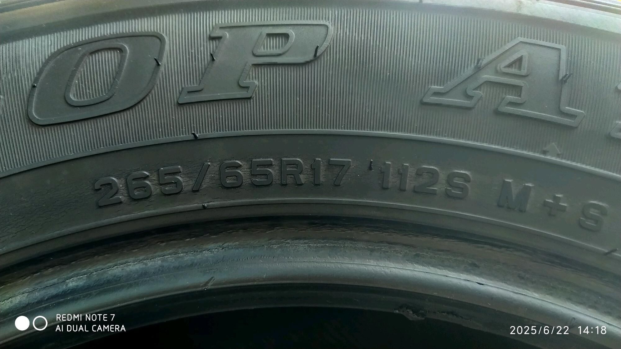 265.65.17  DUNLOP 1 100 TMT - Дашогуз - img 6