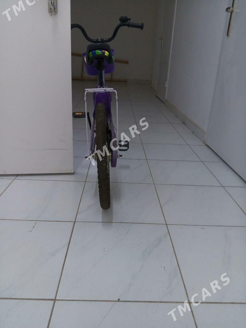 welsepet  tigir - Aşgabat - img 2