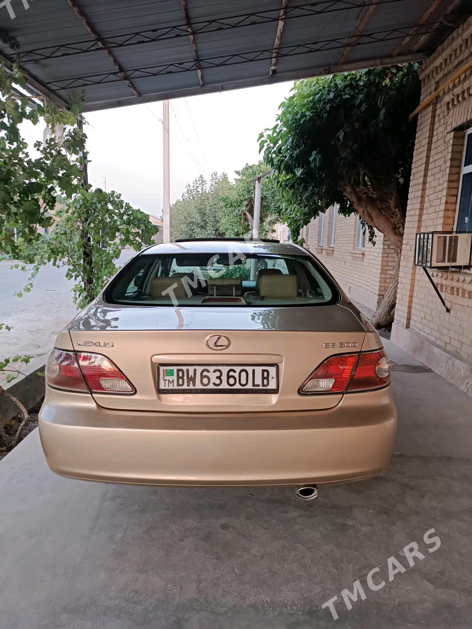 Lexus ES 300 2002 - 195 000 TMT - Çärjew - img 9