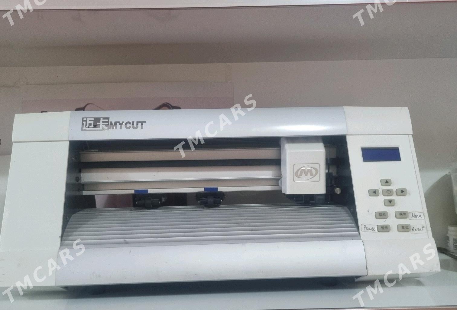 pyonka kesya we surat cekya - Gökdepe - img 2