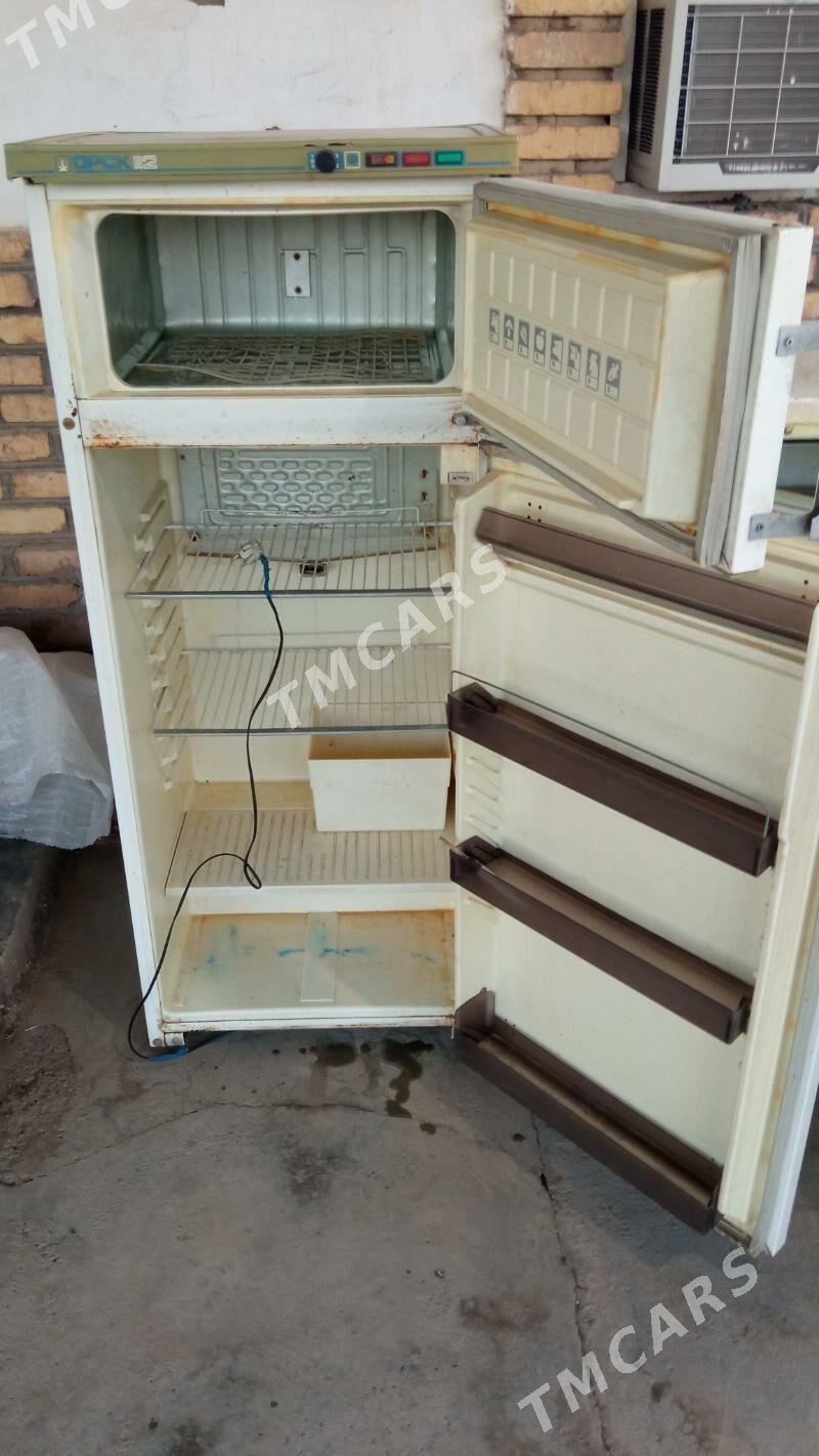 holodinlik 2 sany - Mary - img 2