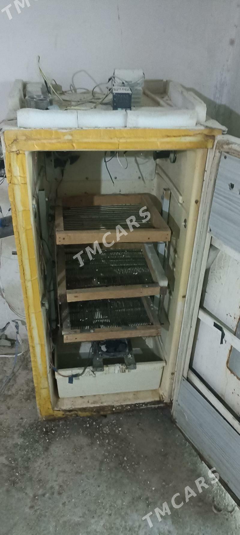 Inkubator Инкубатор - Гызыларбат - img 2
