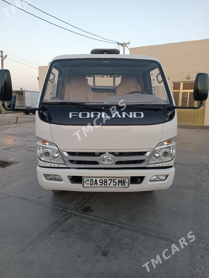 Forland H2 2013 - 135 000 TMT - Mary - img 2