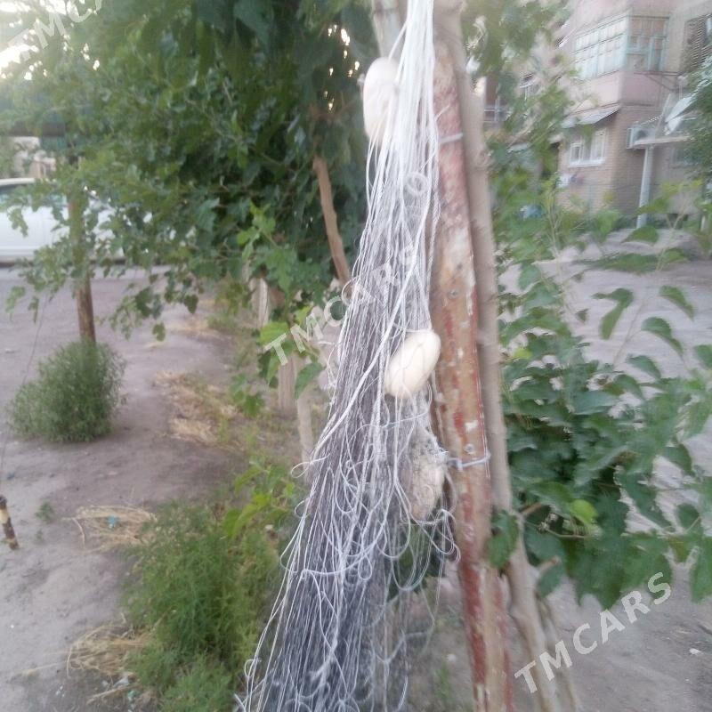 Трёх стенка сетка - Türkmenabat - img 3