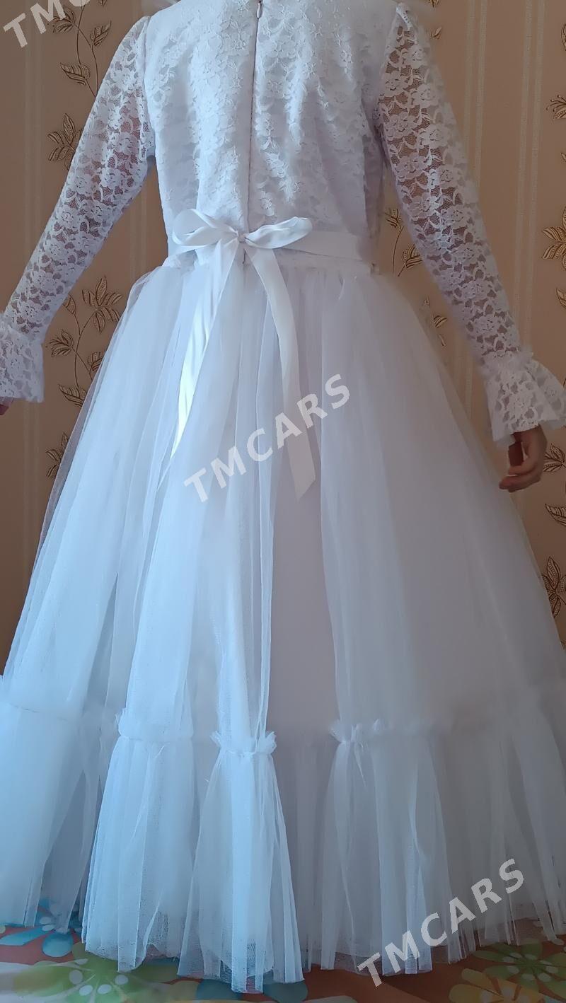 Fata köyek - Türkmenabat - img 2