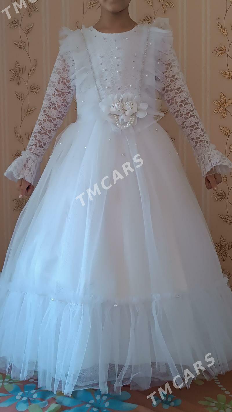 Fata köyek - Türkmenabat - img 3