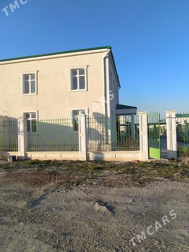 Buzmeyin Gunes Kotez - Büzmeýin - img 3