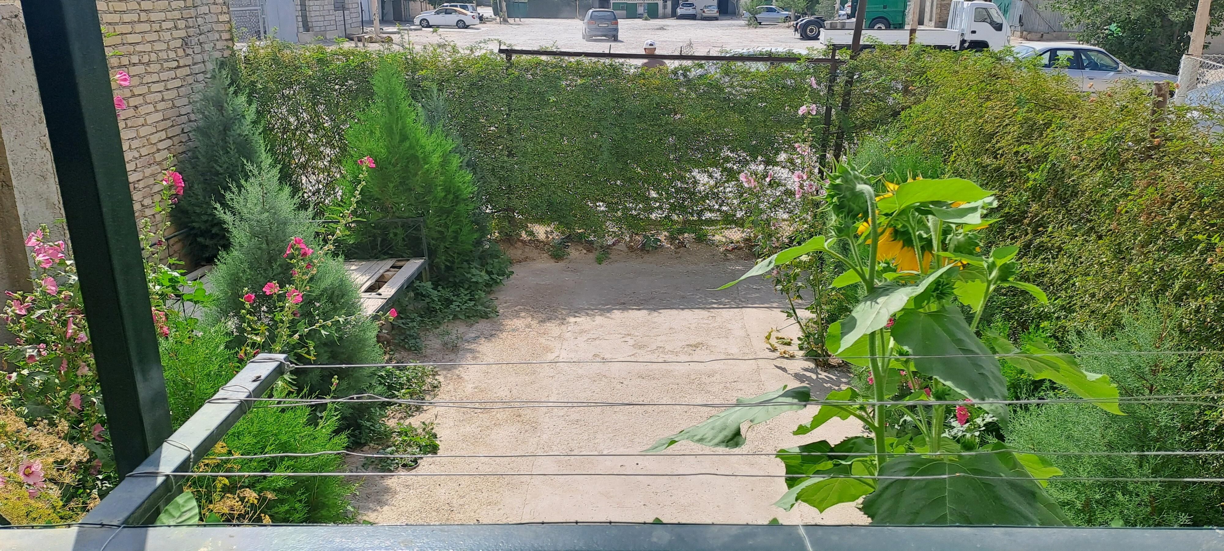 сдаётся квартира в аренду 211 - Балканабат - img 10