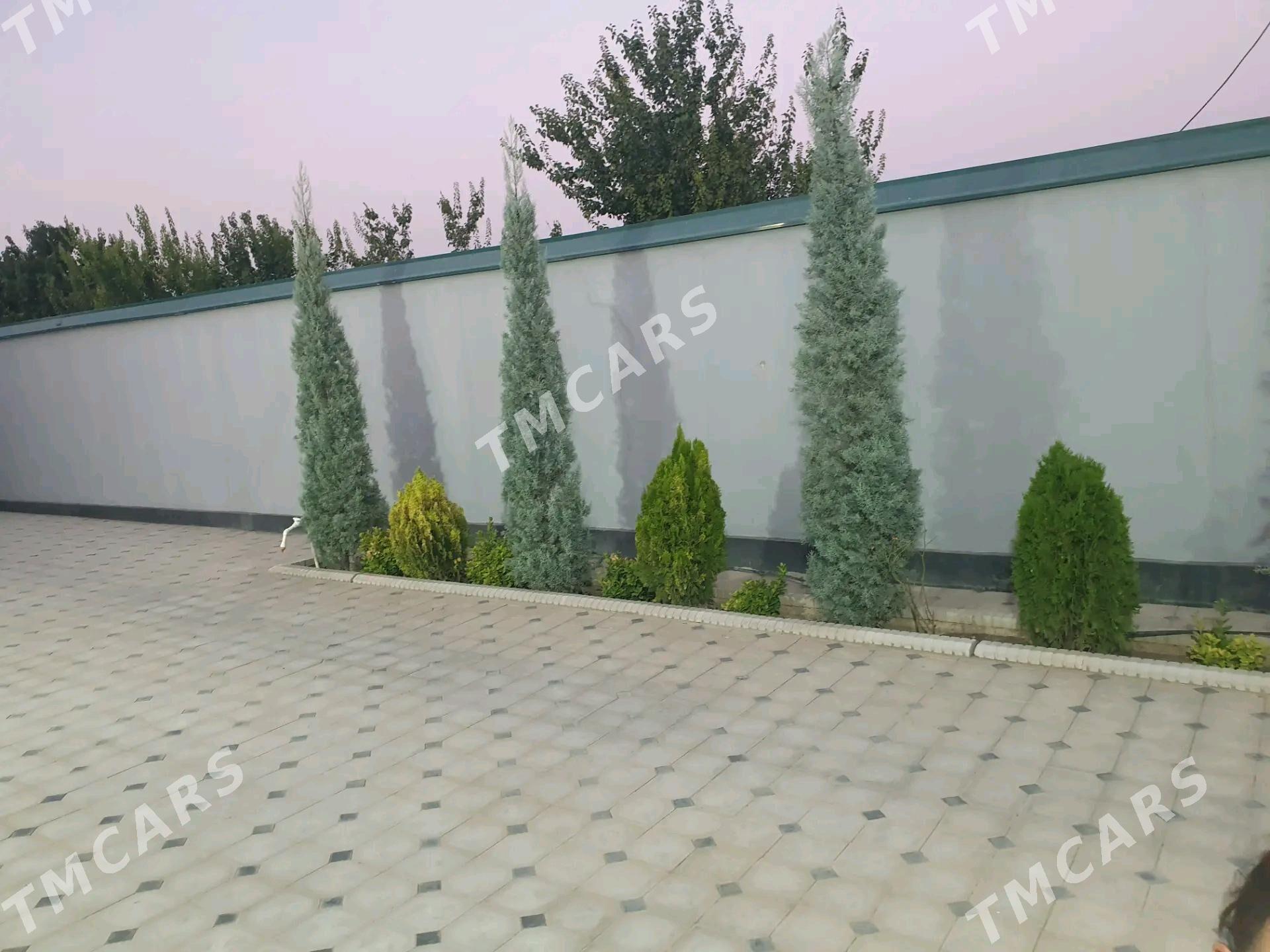 Bagyr mirewe Багир миреве - Багир - img 3