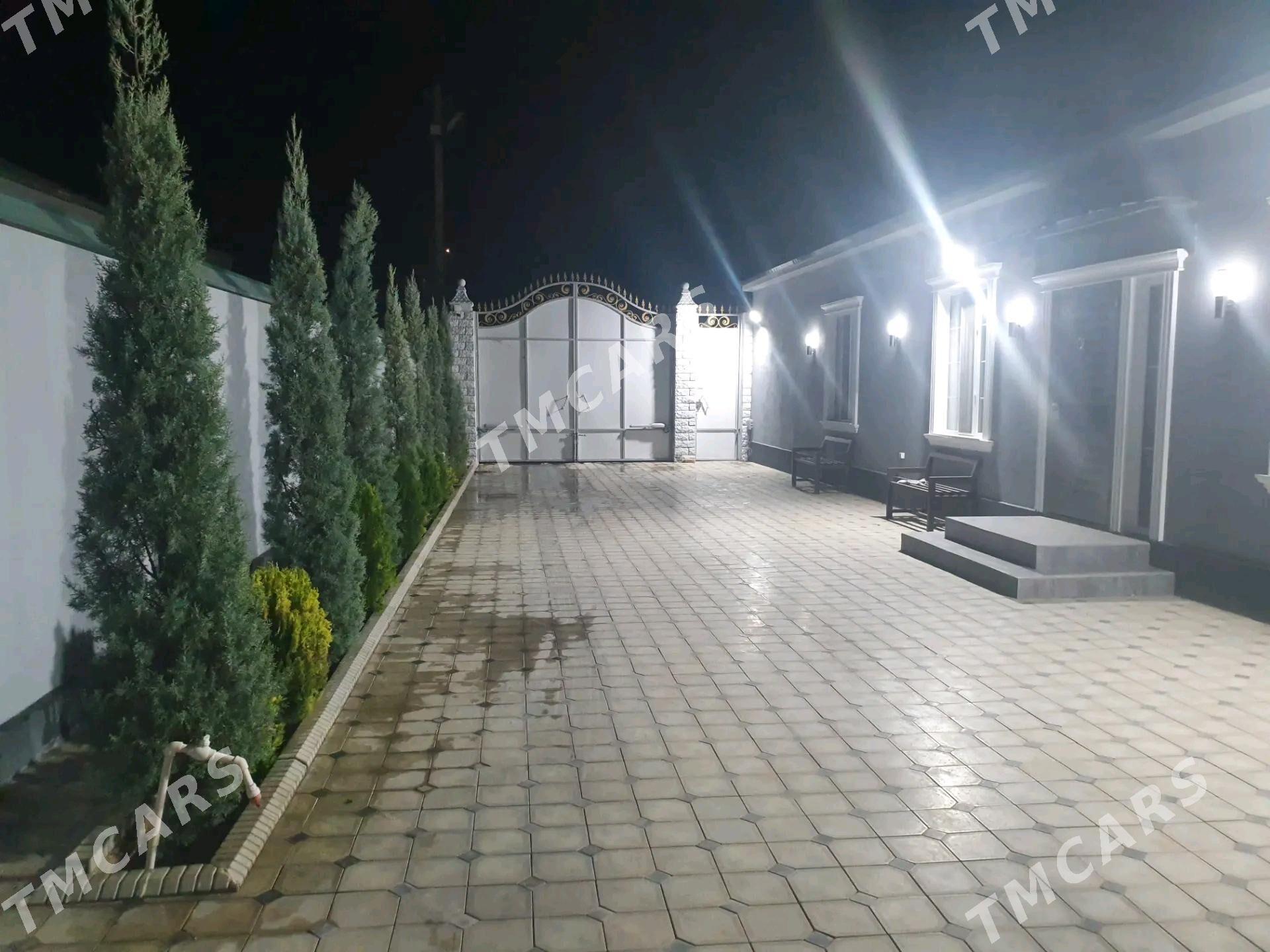 Bagyr mirewe Багир миреве - Багир - img 4