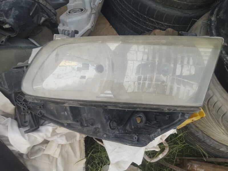 Babycka fara 200 TMT - Aşgabat - img 2