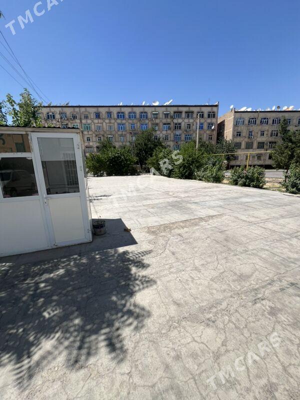 Arenda - Mary - img 2