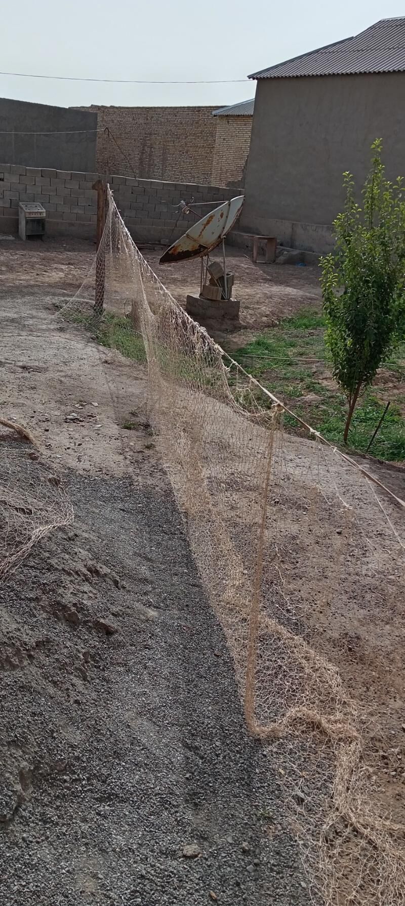 Tor balykcylara - Tejen - img 2