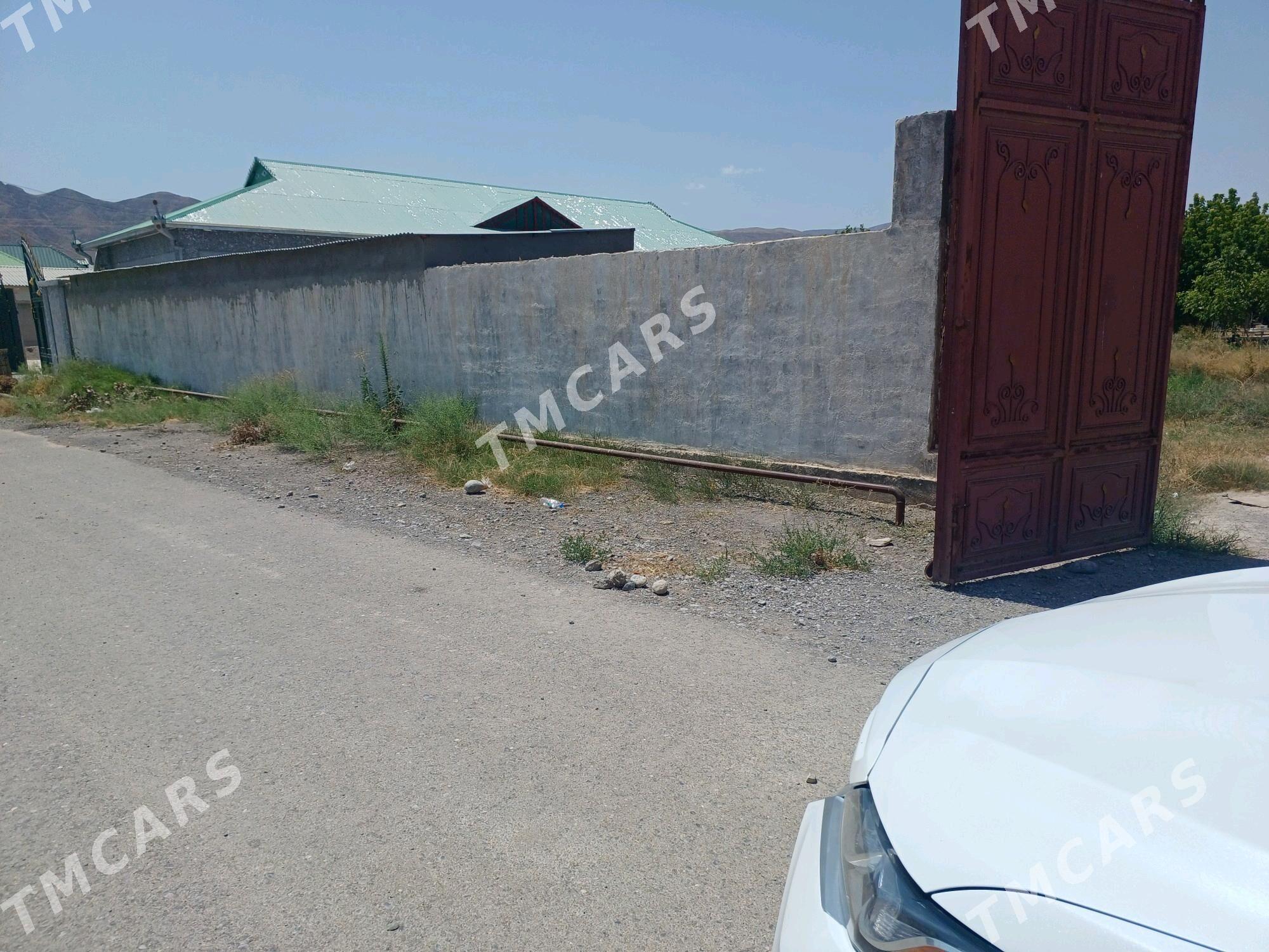 bagyr mirewe - Bagyr - img 2