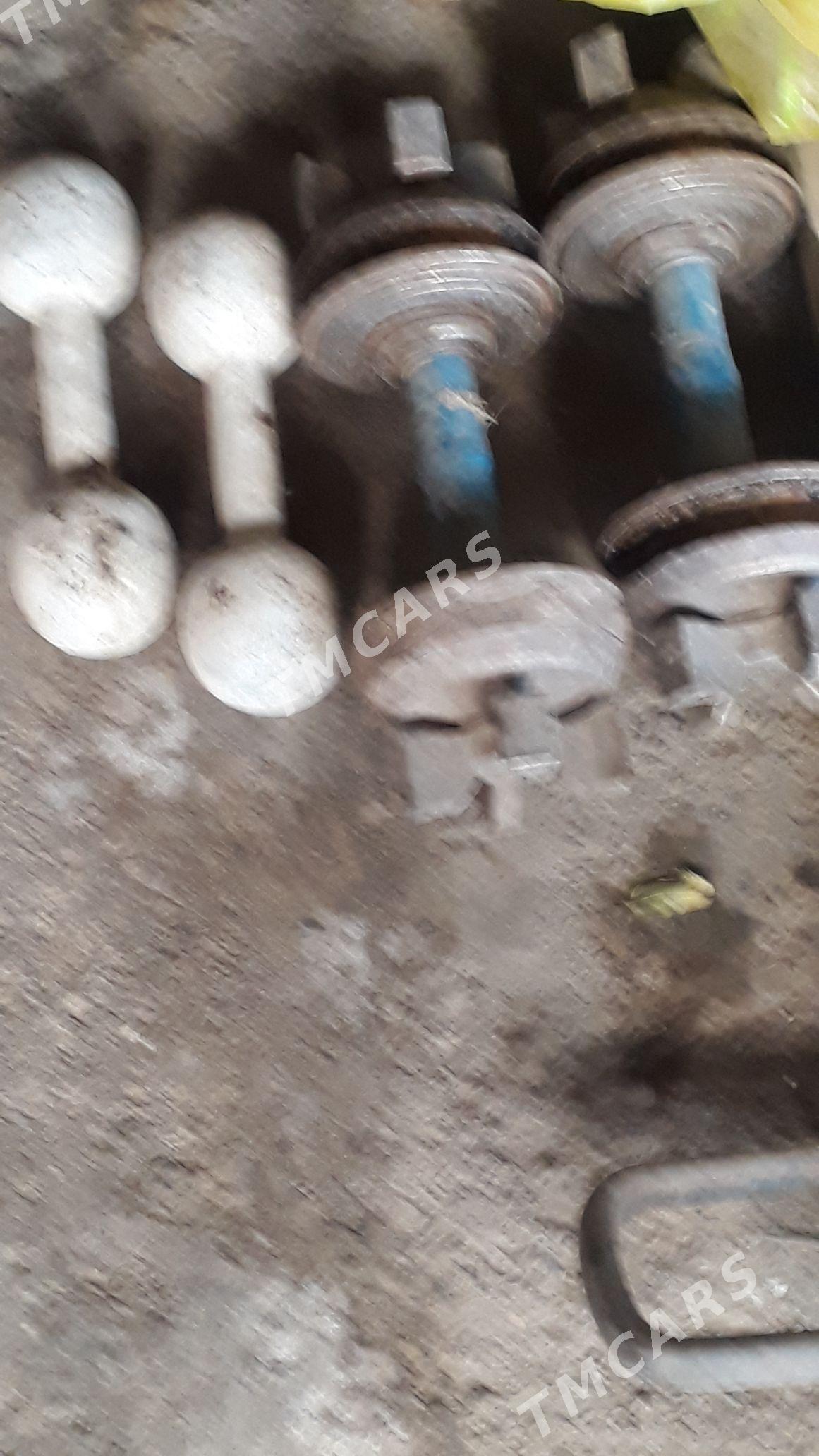 Гантели, Gantel - Mary - img 3