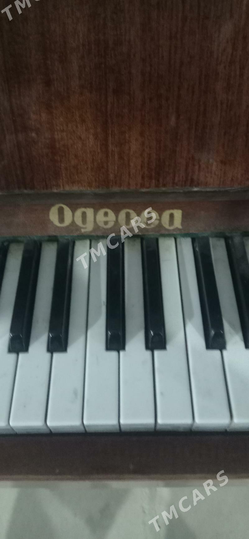 Piano pianino - Änew - img 2