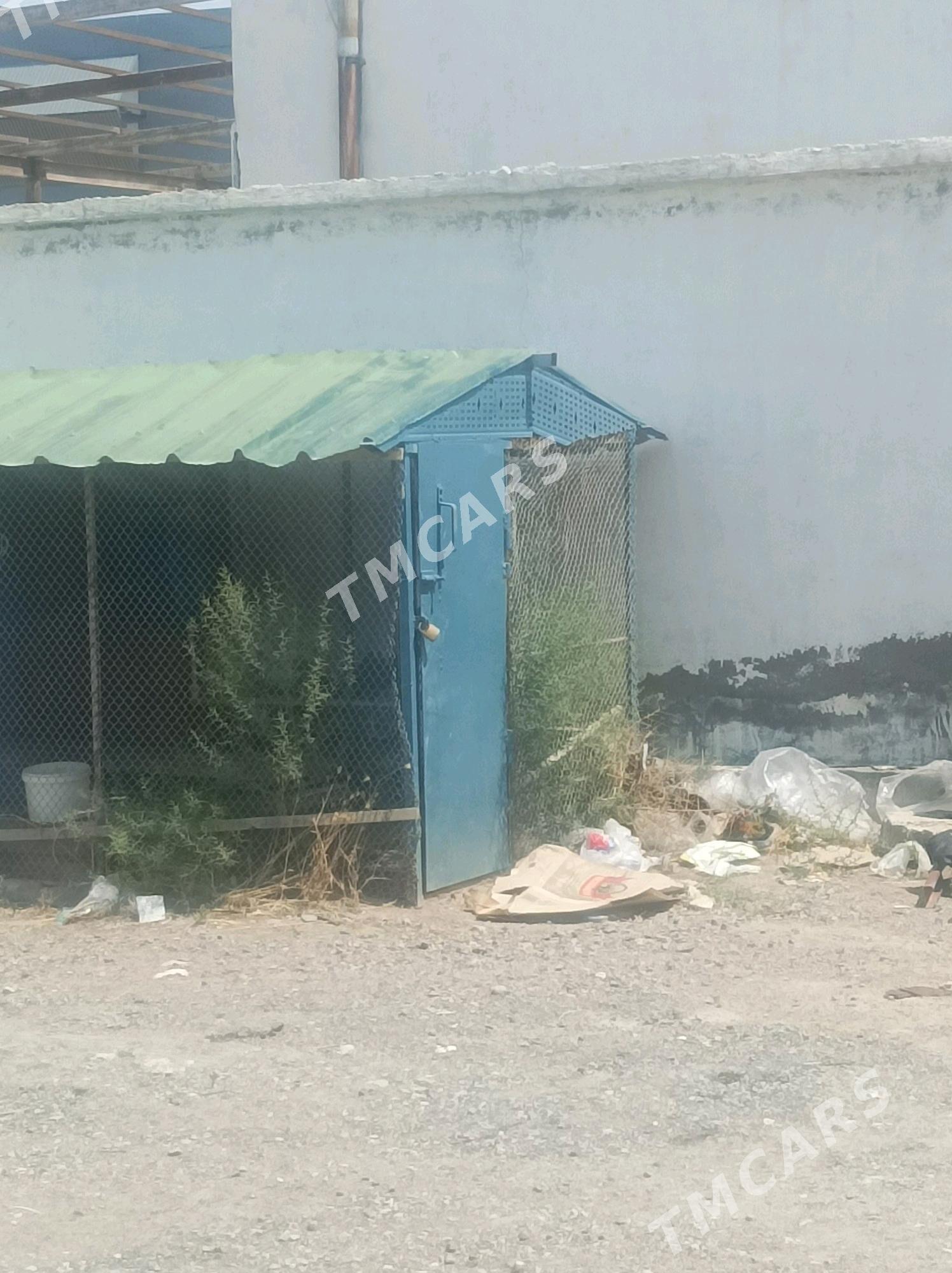 Towuk ketek - Türkmenbaşy - img 2