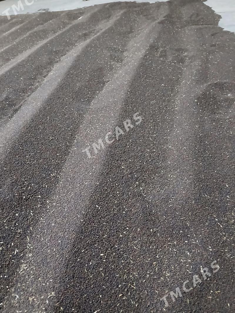 Raps - Çärjew - img 3