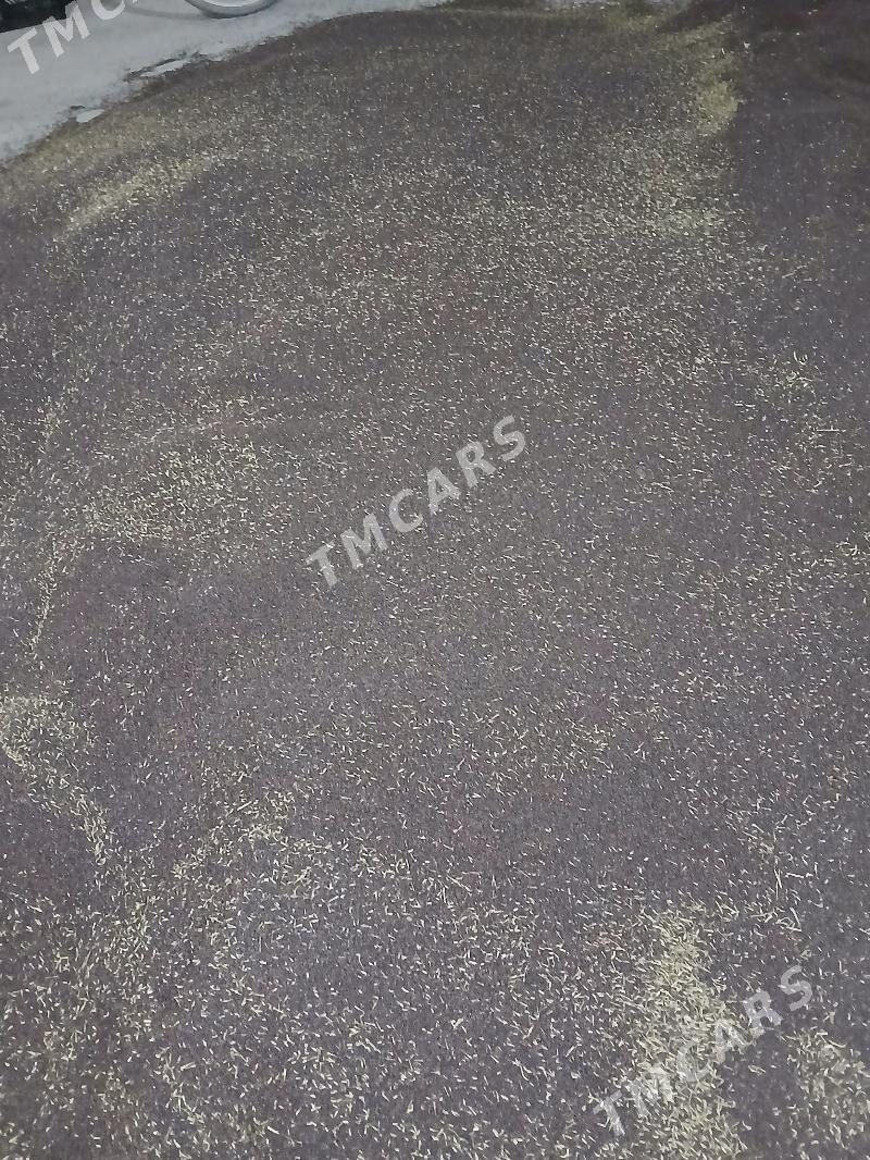 Raps - Çärjew - img 2