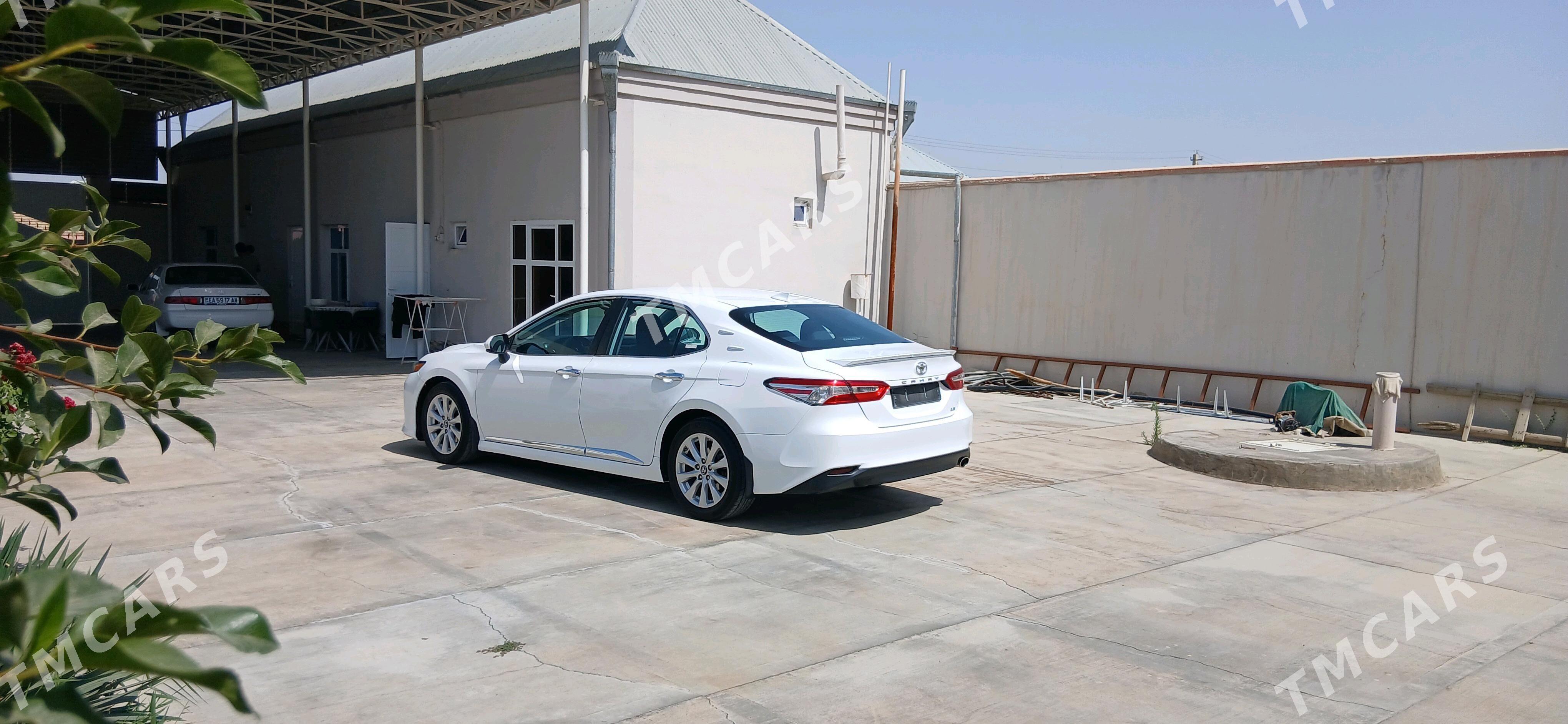 Toyota Camry 2019 - 310 000 TMT - Bäherden - img 4
