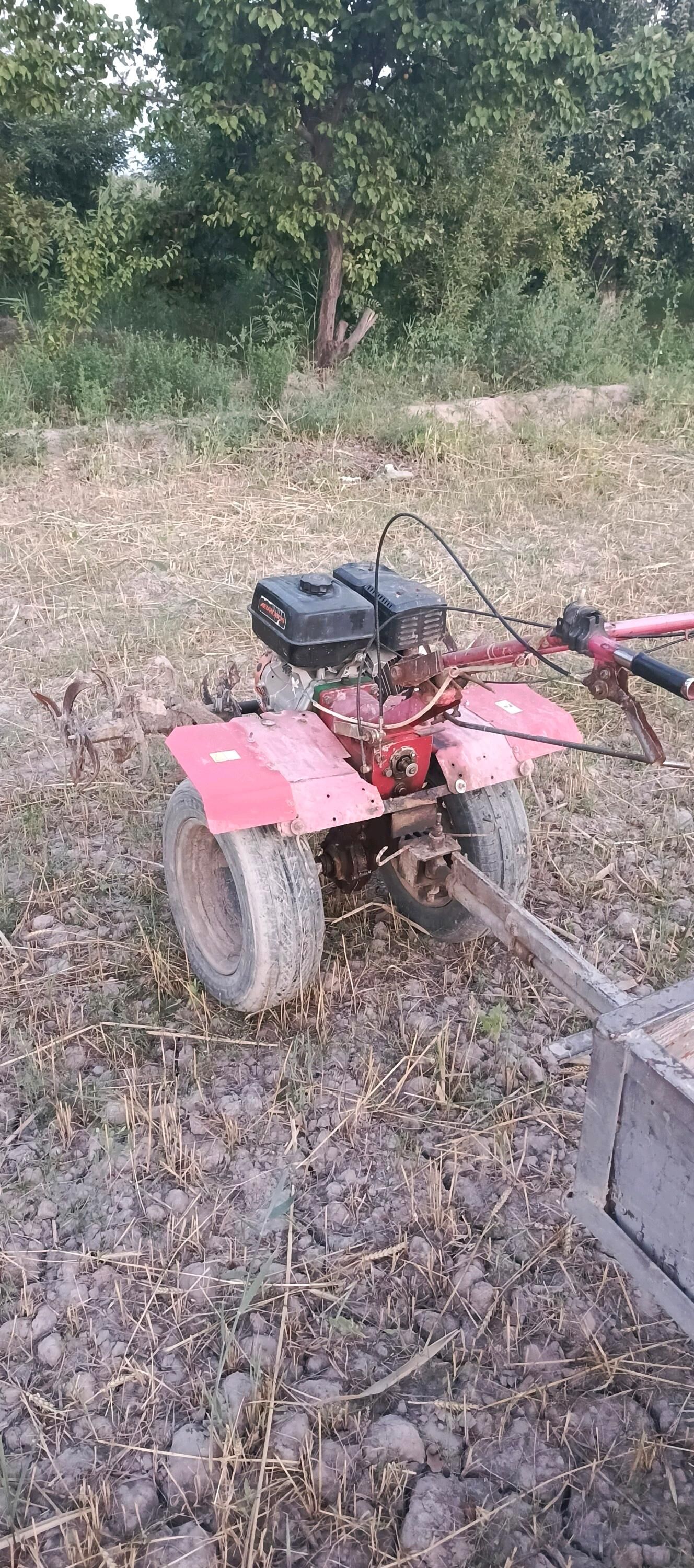 Traktor yer suryan - Гурбансолтан Едже - img 2
