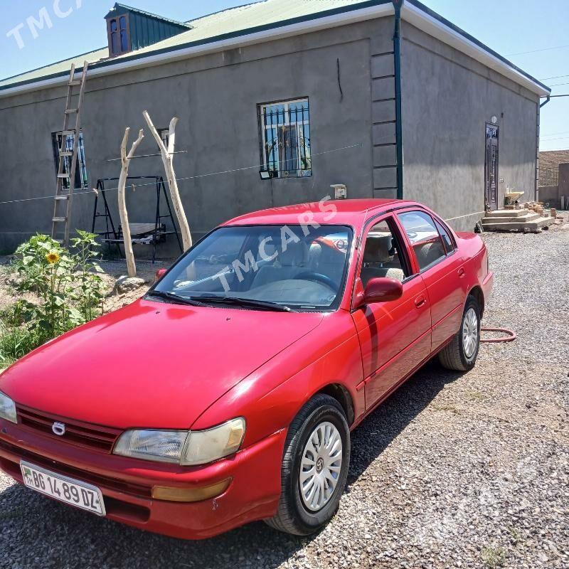 Toyota Corolla 1993 - 56 000 TMT - Daşoguz - img 3