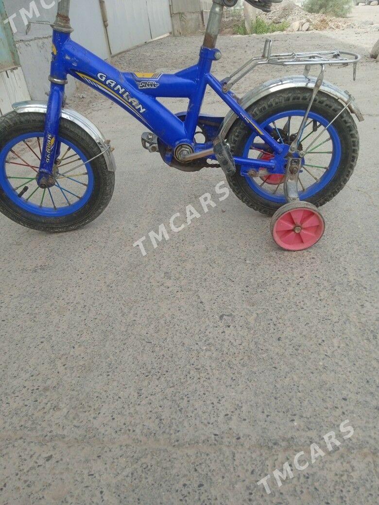 tigir - Tejen - img 3