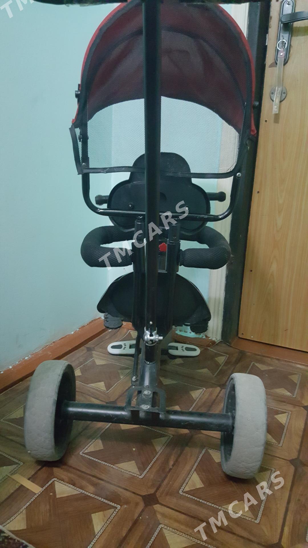Çaga tigiri - Daşoguz - img 2