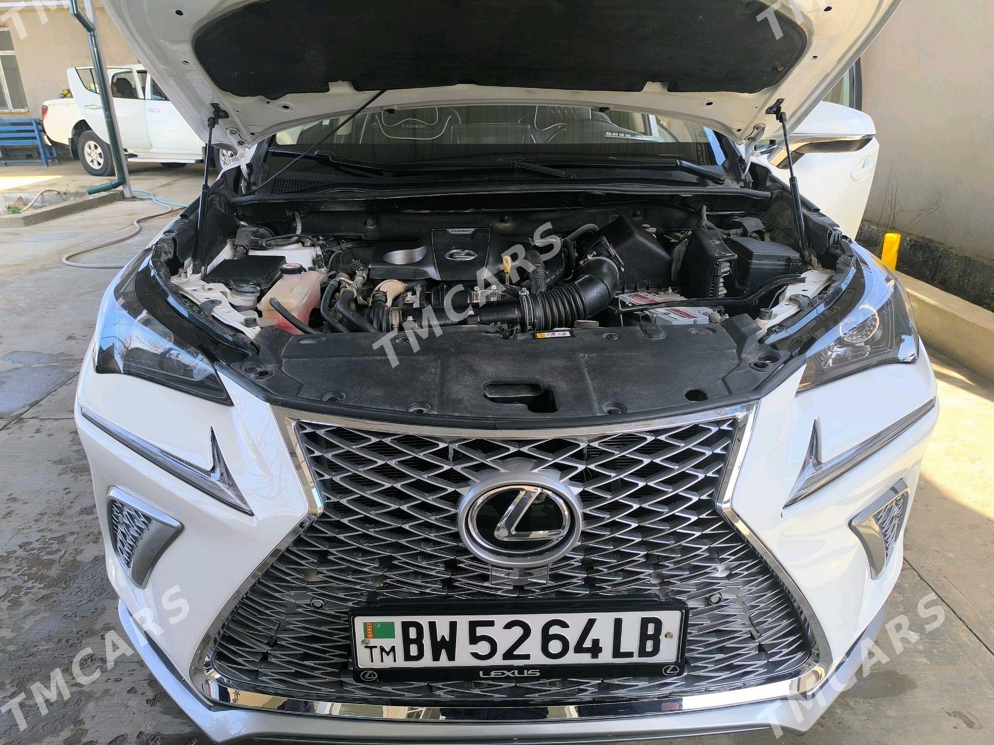 Lexus NX 300 2021 - 450 000 TMT - Mary - img 7