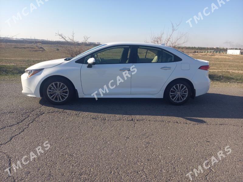 Toyota Corolla 2020 - 199 000 TMT - Ашхабад - img 4