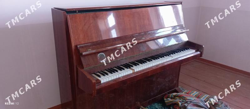 PIANINA - Baýramaly - img 2