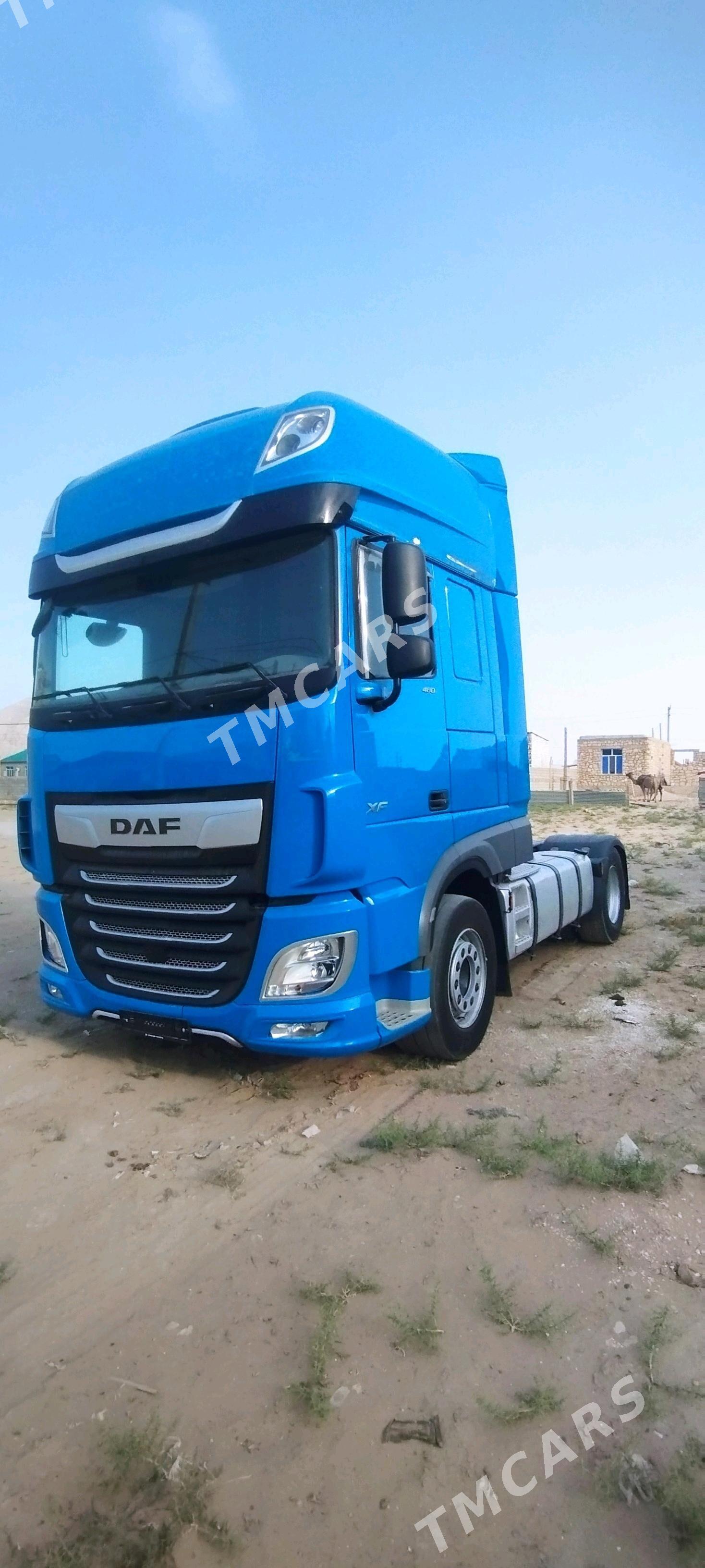 DAF 480 2020 - 820 000 TMT - Jebel - img 2