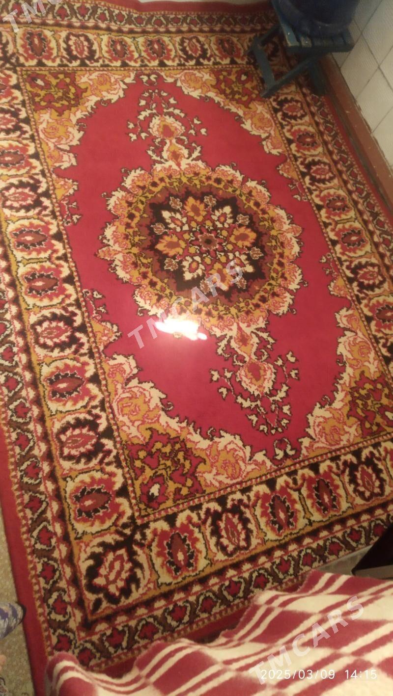 Haly - Türkmenabat - img 2