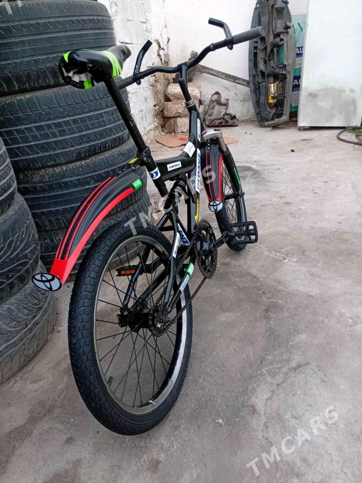 tıgır 20 lık - Çoganly - img 2