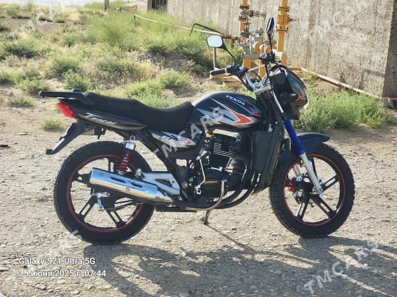 Fekon FK200-14G 2024 - 14 000 TMT - Tagtabazar - img 3