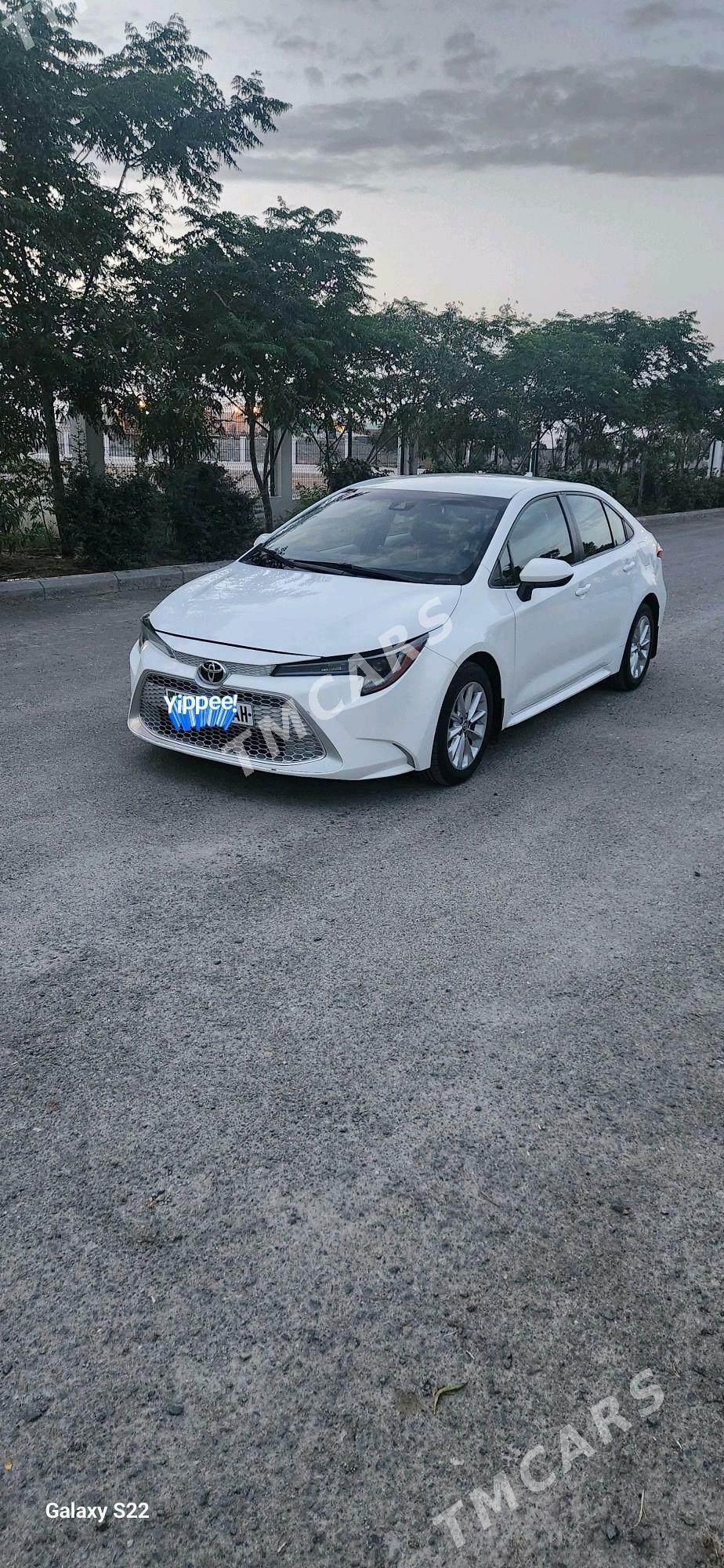 Toyota Corolla 2021 - 240 000 TMT - Гёкдепе - img 2