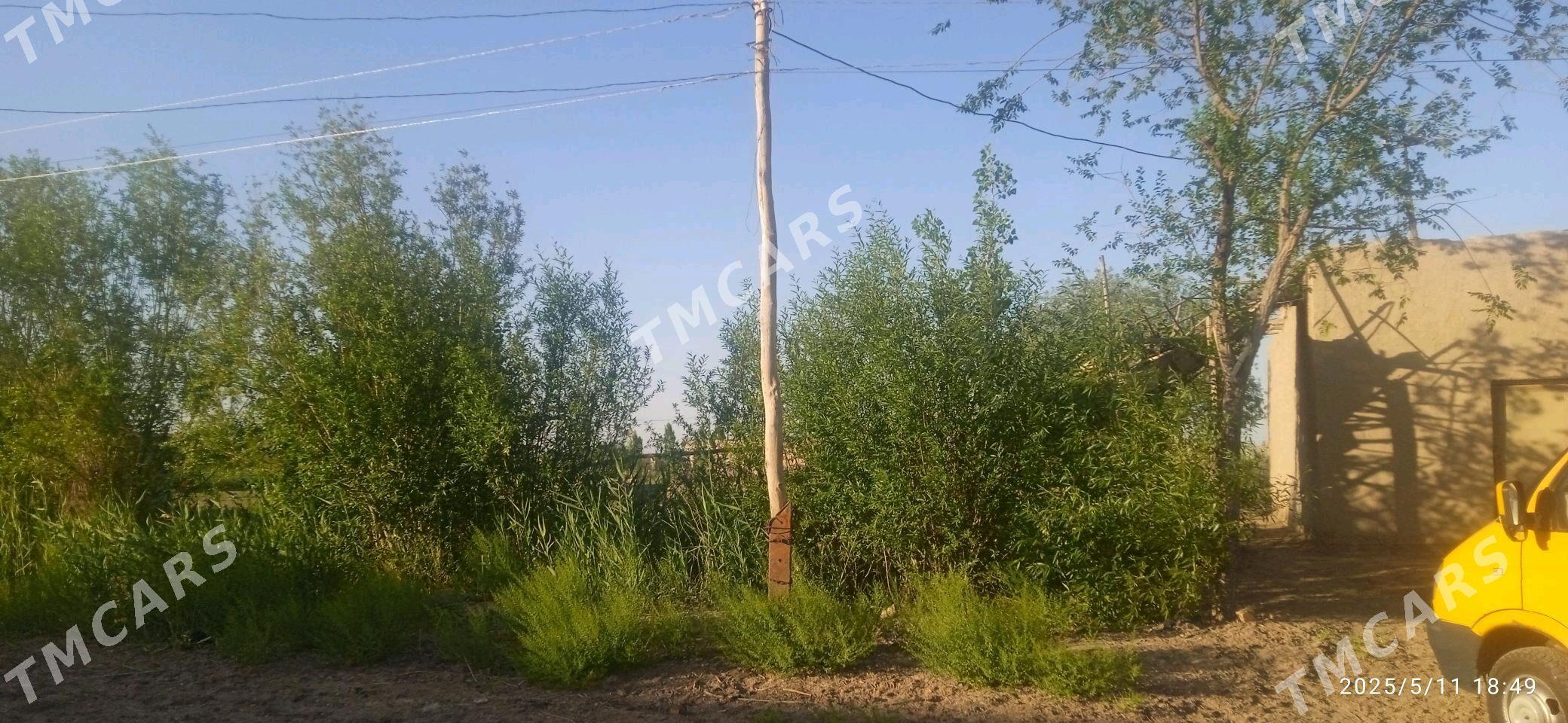 Жай - Болдумсаз - img 3