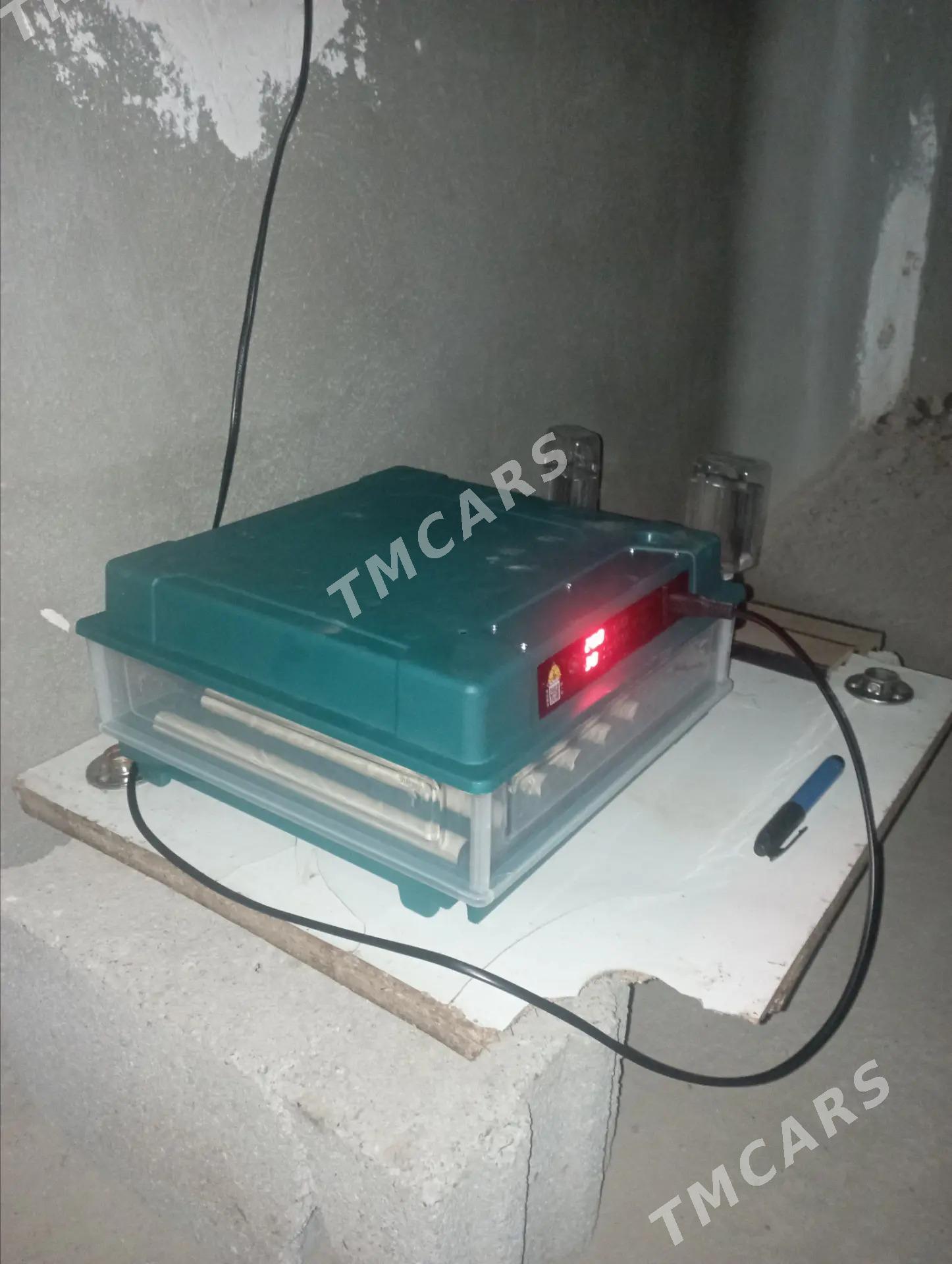 inkubator - Гёкдже - img 2