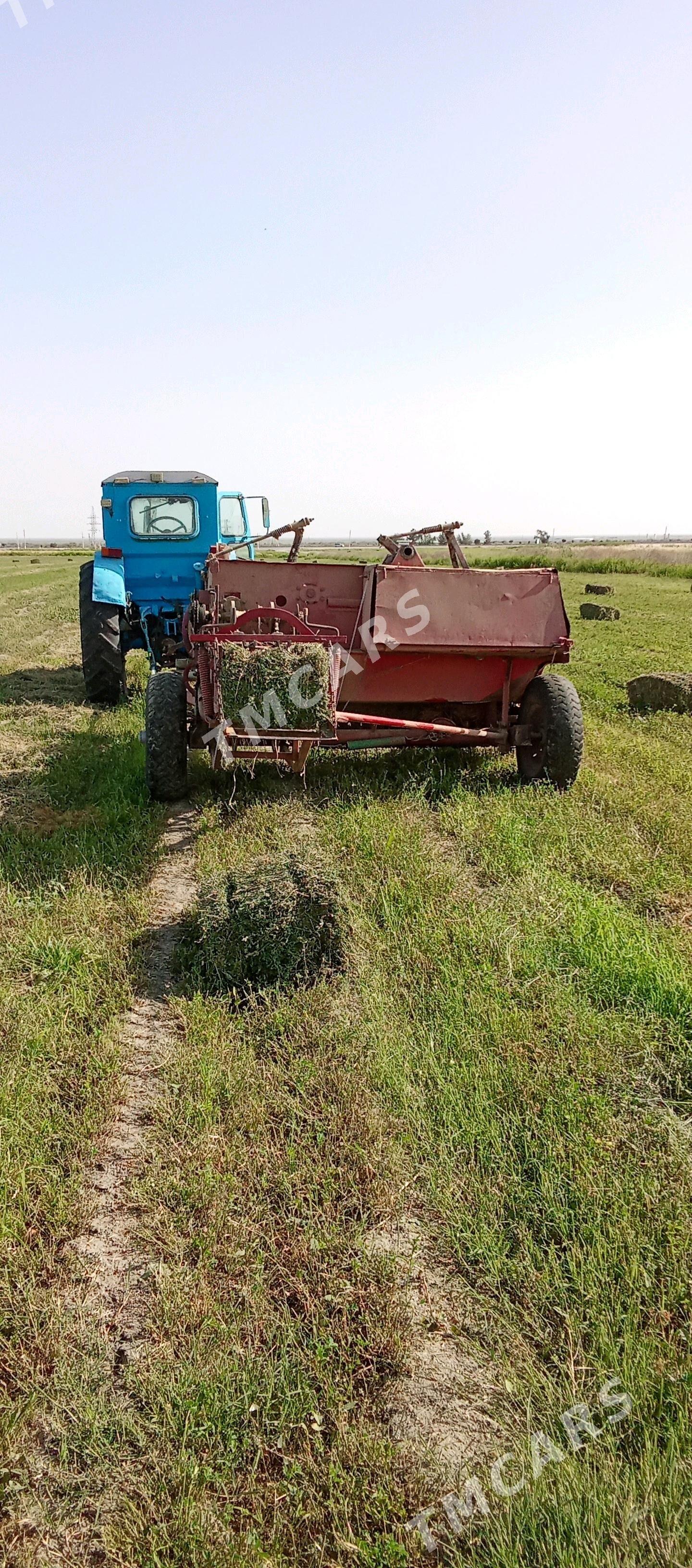 Belarus 80.1 2022 - 90 000 TMT - Bäherden - img 3