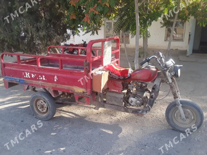 Fekon FK200-14G 2020 - 11 000 TMT - Garabekewül - img 3