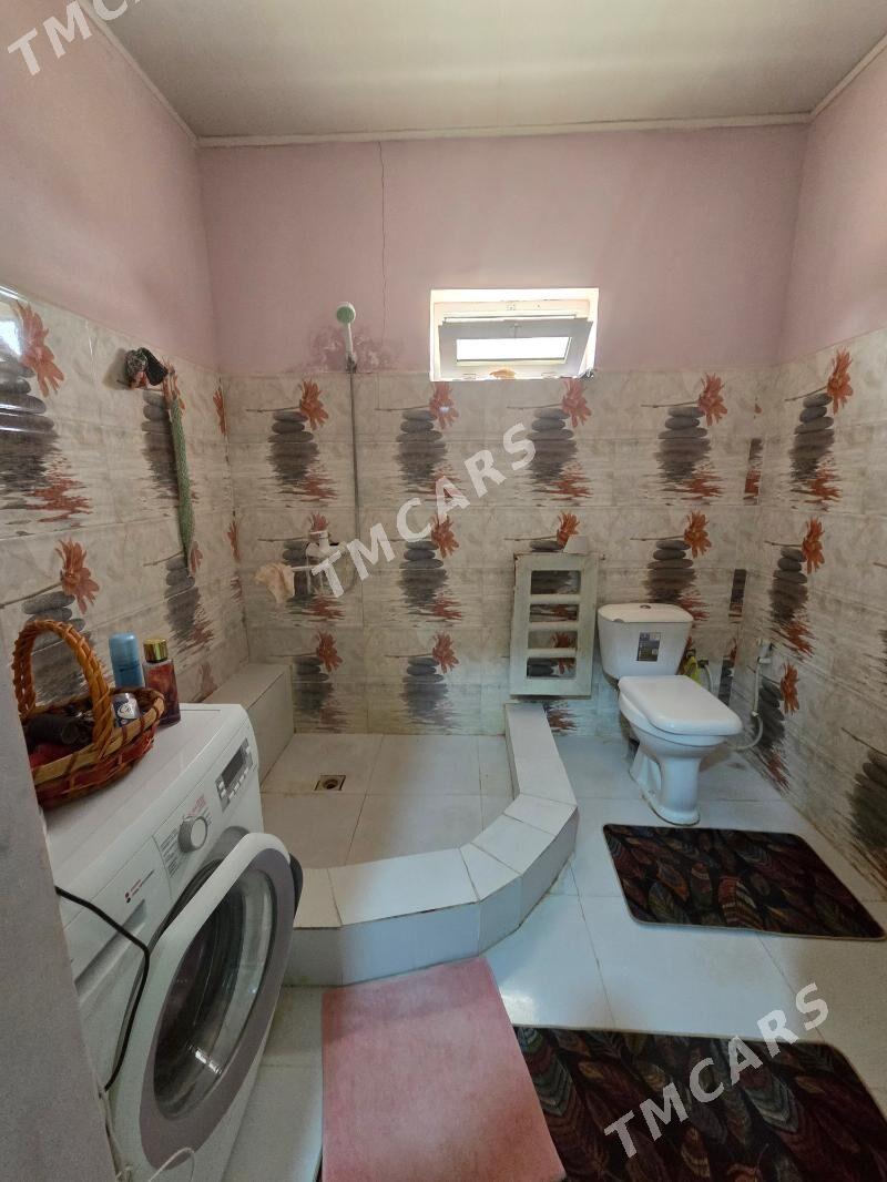 Satlyk Bagir lan jay - Aşgabat - img 10